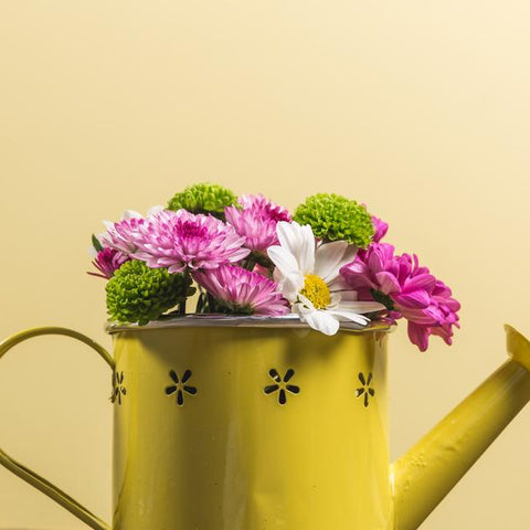 Yellow watering can