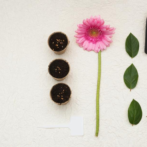 Gardening hand trowel